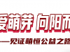 感謝你用愛(ài)心 凝聚善的力量 | 國(guó)貿(mào)“讓愛(ài)萌芽 向陽(yáng)而生”公益活動(dòng)落下帷幕